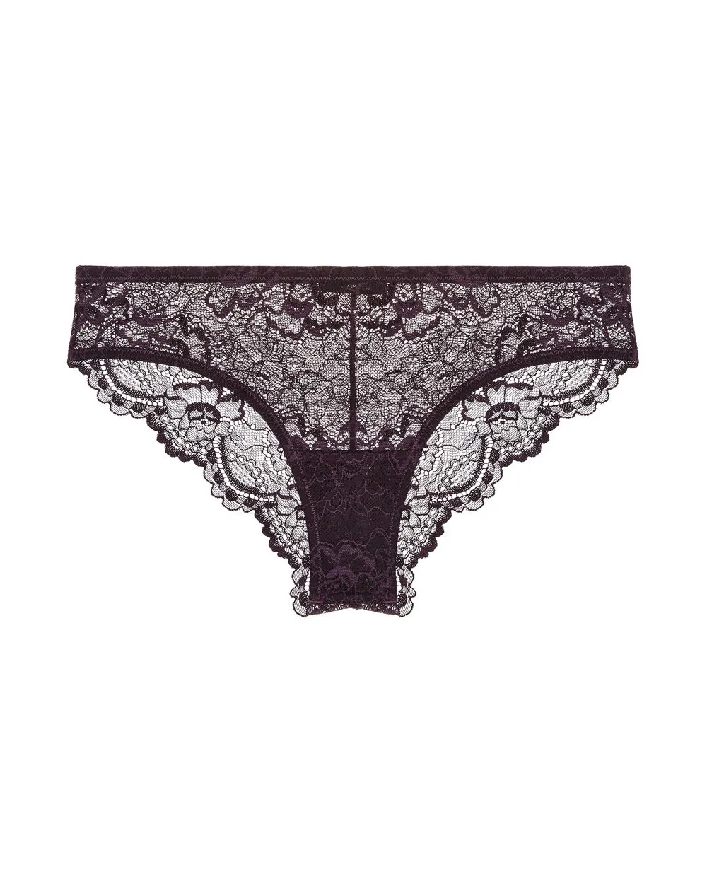 All Lace Brief