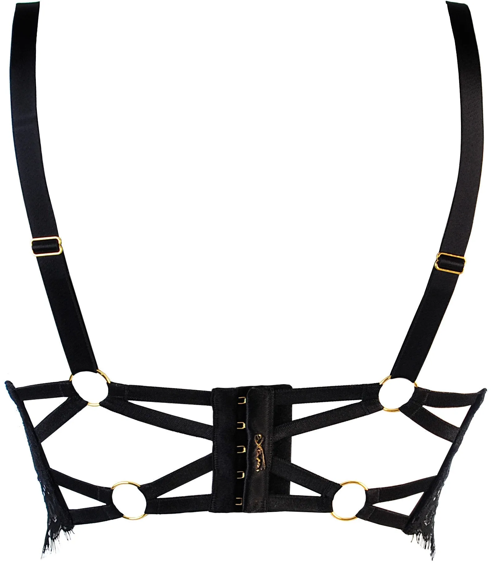 Axami 10771 Eyelash Lace Bustier Bra Just Like Heaven