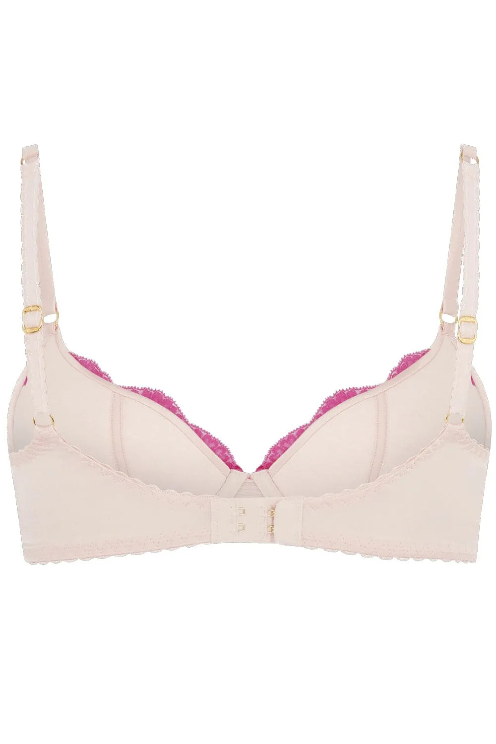 Molly Plunge Bra