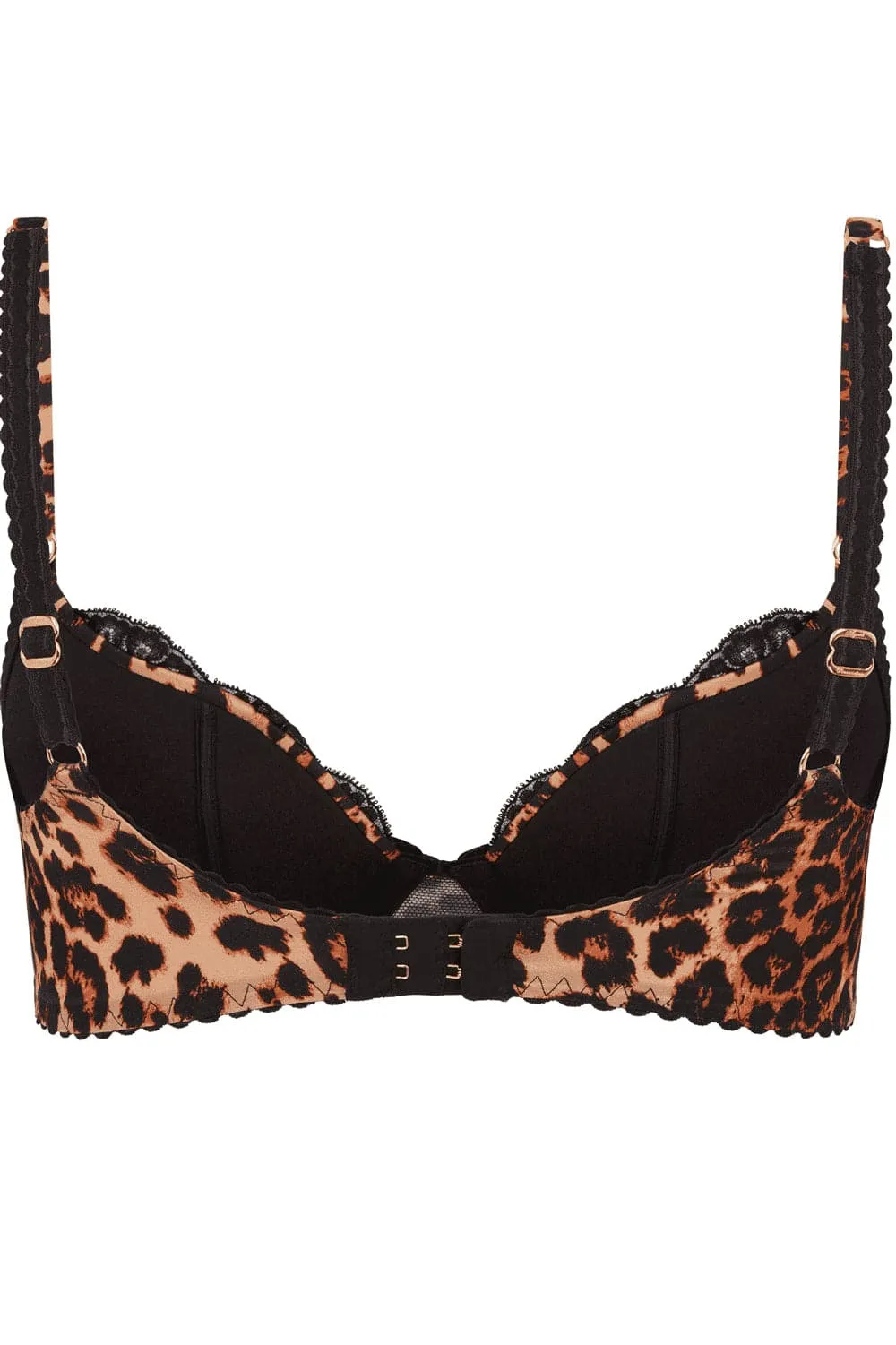 Molly Plunge Bra