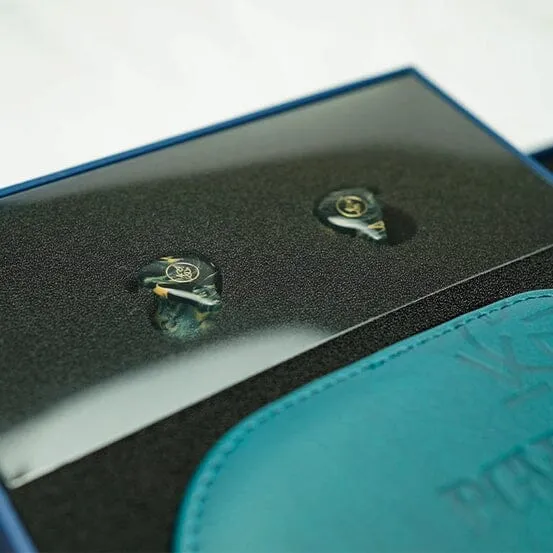 Open Box BGVP Phantom Special Edition 2BA   2DD   2EST   2BCD Flagship IEMs (Worldwide Shipping）