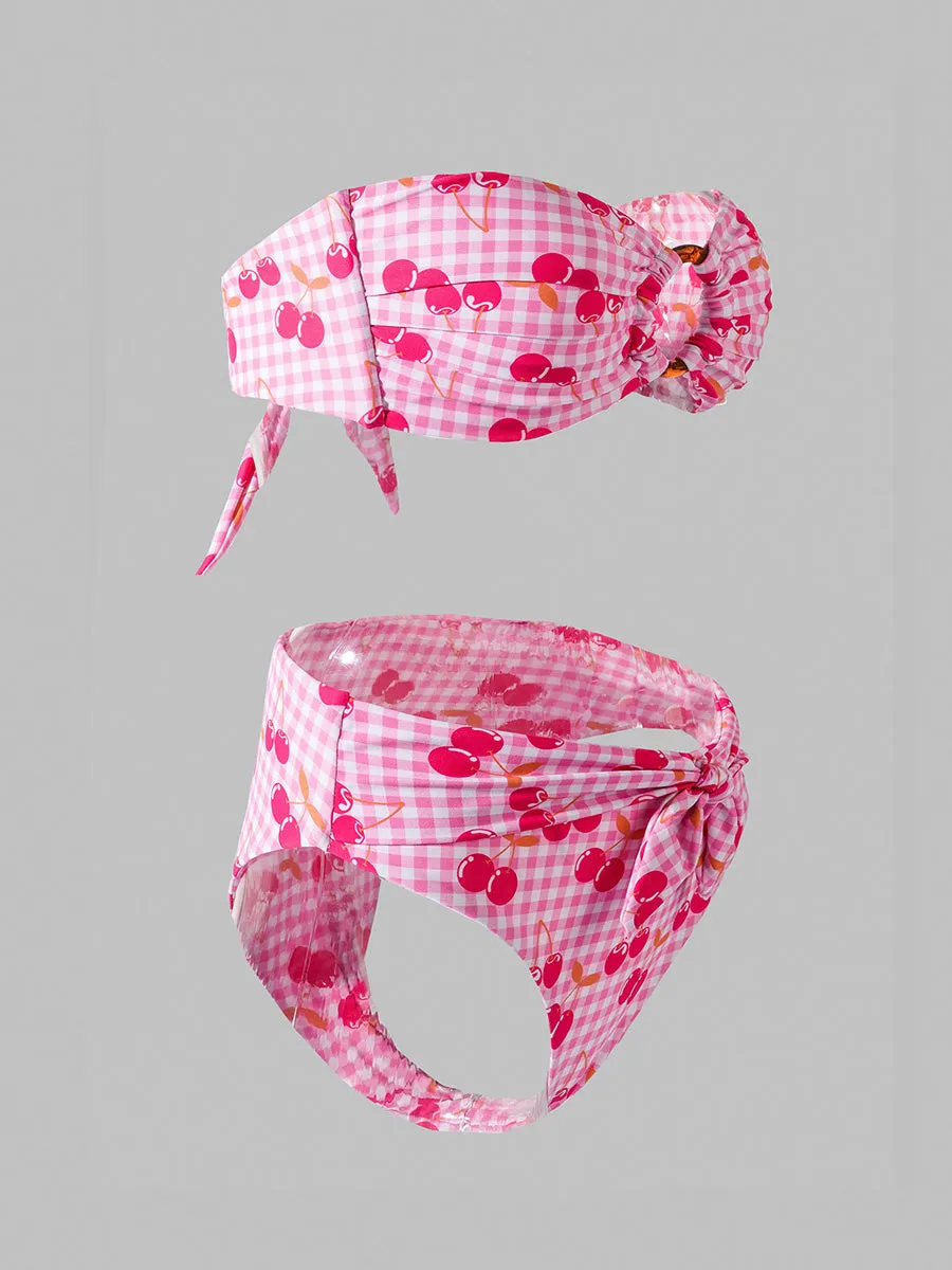 Pink Cherry Double layer High-Waisted Bikini Set